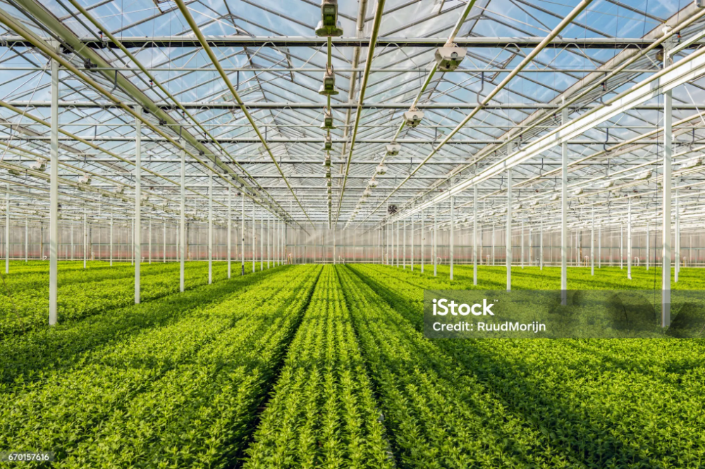What Is the Best Greenhouse Type for a Small Farm?cid=75