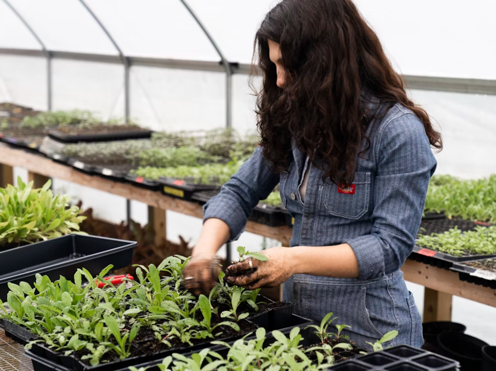 What Is a Multispan Greenhouse?cid=75