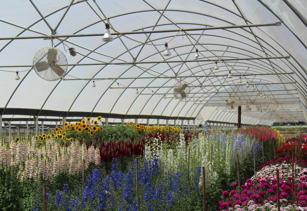 Multispan Greenhouse Maintenance: Essential Tips for Longevity