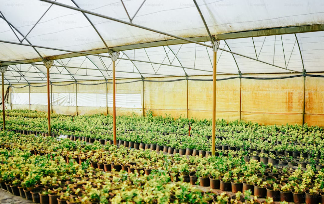 how to start a greenhouse nursery business？