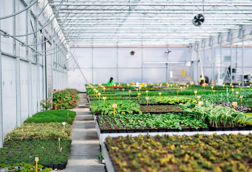 how to start a greenhouse nursery business？