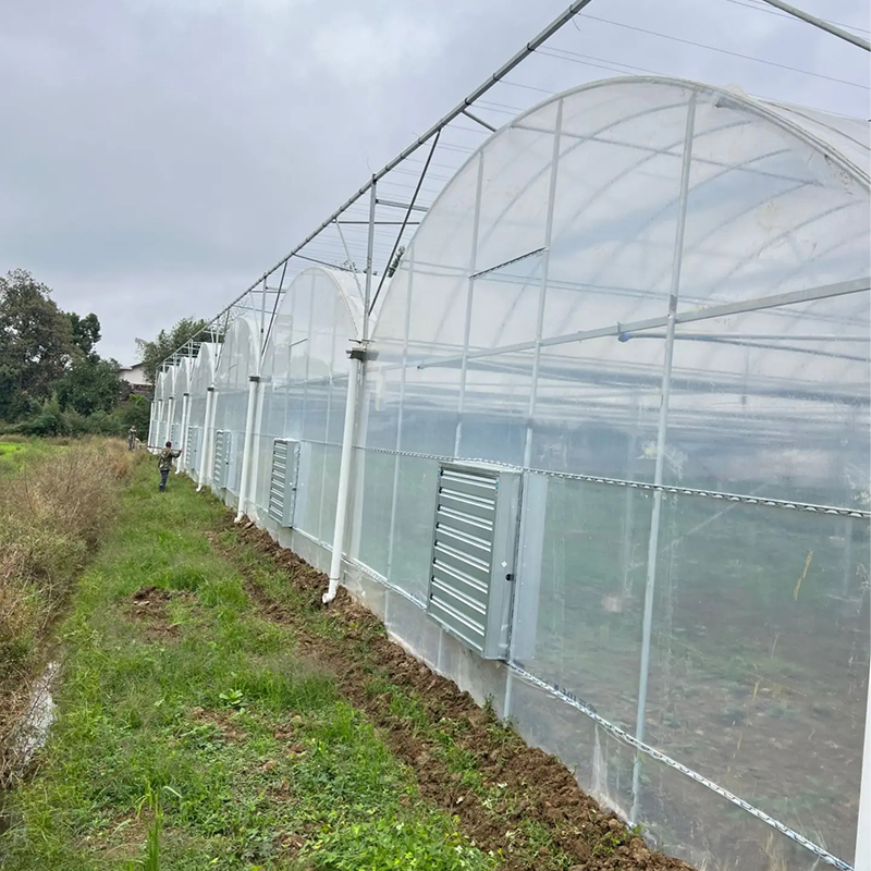 Choosing the Best Greenhouse for Africa: Tackling Climate Challenges for High Yields Choosing the Best Greenhouse for Africa: Tackling Climate Challenges for High Yields