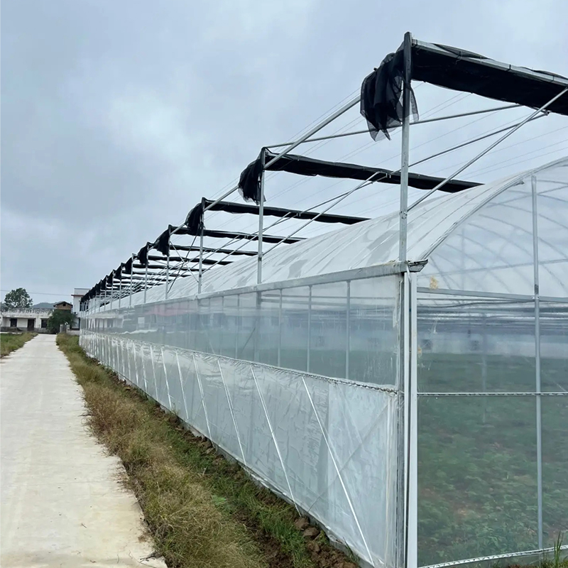 Choosing the Best Greenhouse for Africa: Tackling Climate Challenges for High Yields Choosing the Best Greenhouse for Africa: Tackling Climate Challenges for High Yields