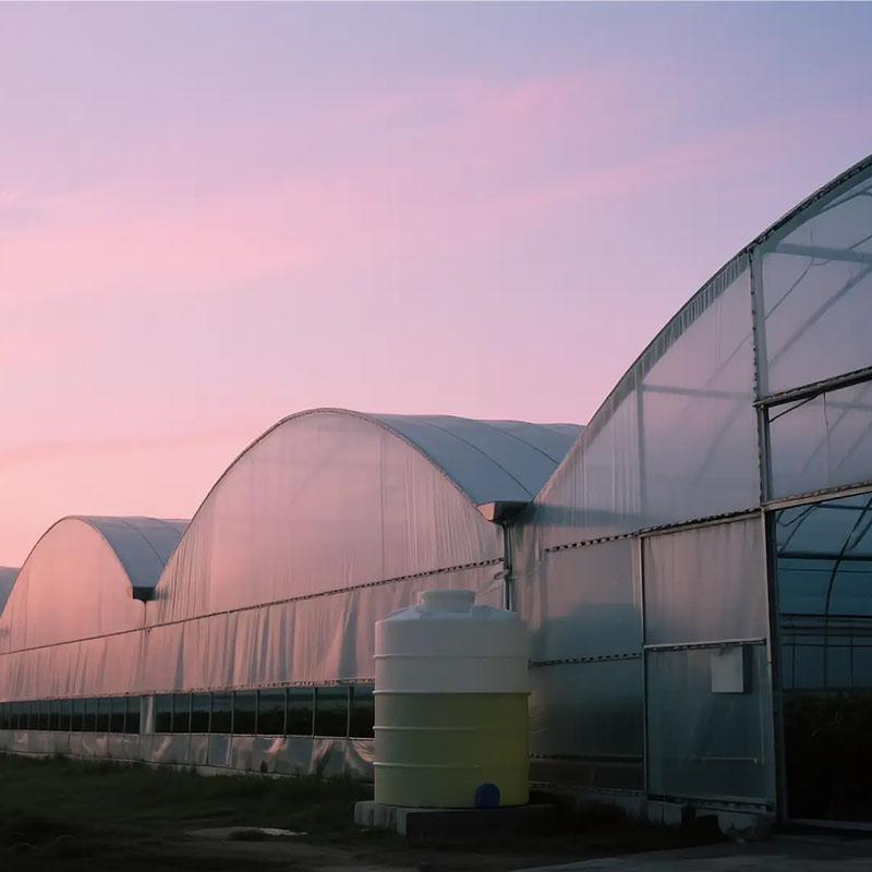 How to Heat a Greenhouse in Winter Efficiently? 7 Cost-Effective Practical Solutions