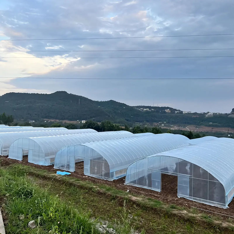 How to Heat a Greenhouse in Winter Efficiently? 7 Cost-Effective Practical Solutions