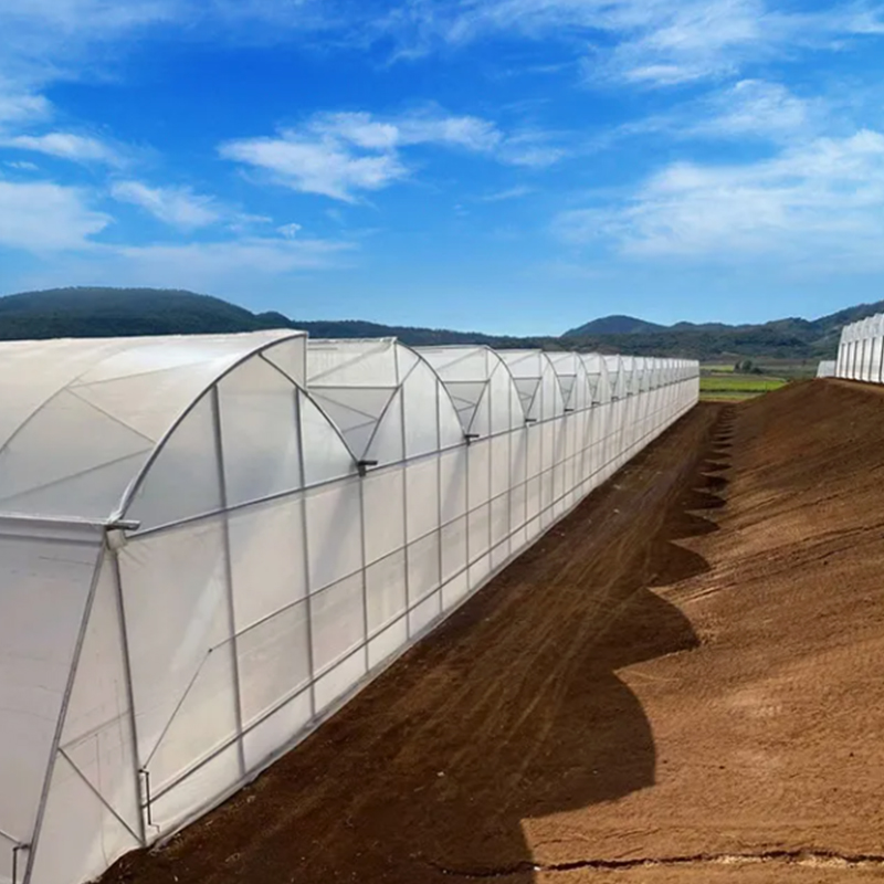 10 Proven Ways to Improve Your Greenhouse Energy Efficiency