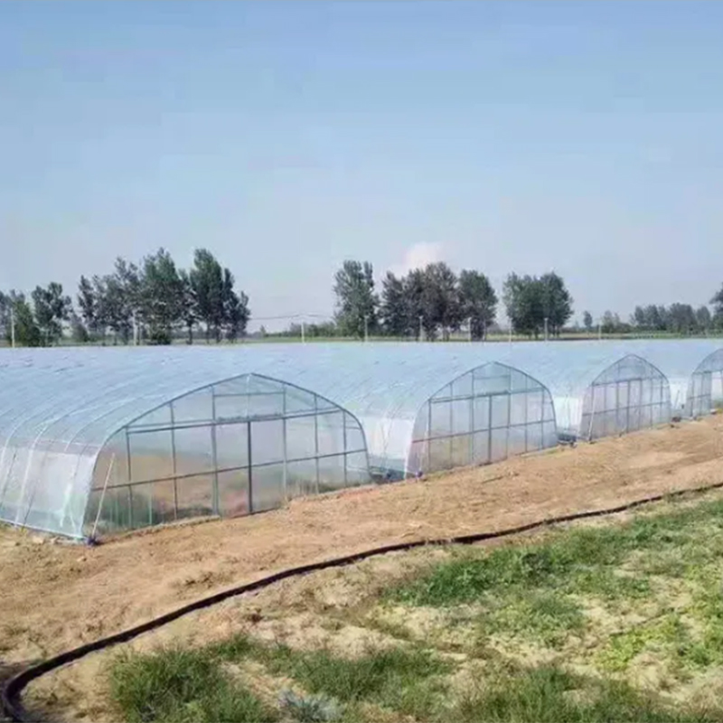 10 Proven Ways to Improve Your Greenhouse Energy Efficiency