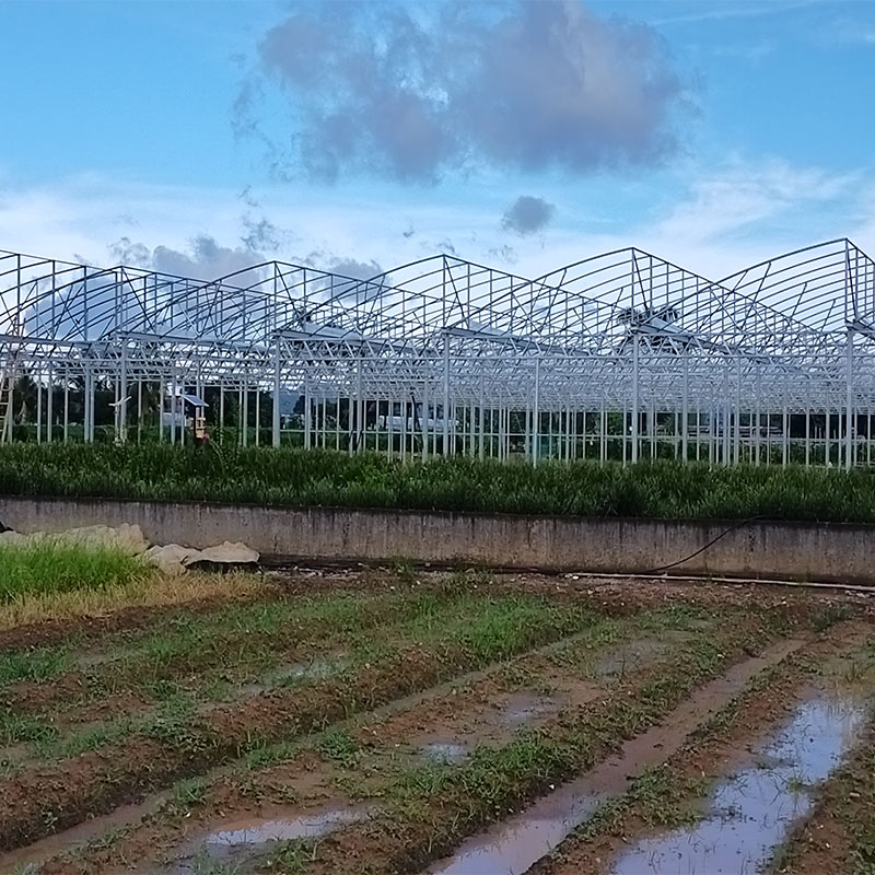 How to Choose a Greenhouse Covering?cid=75