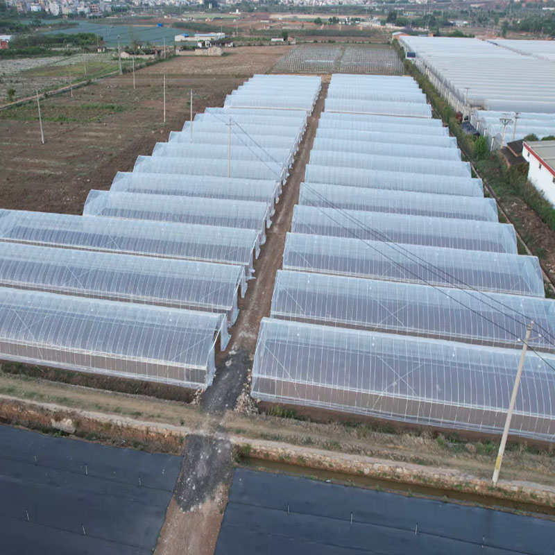 How to Choose a Greenhouse Covering?cid=75