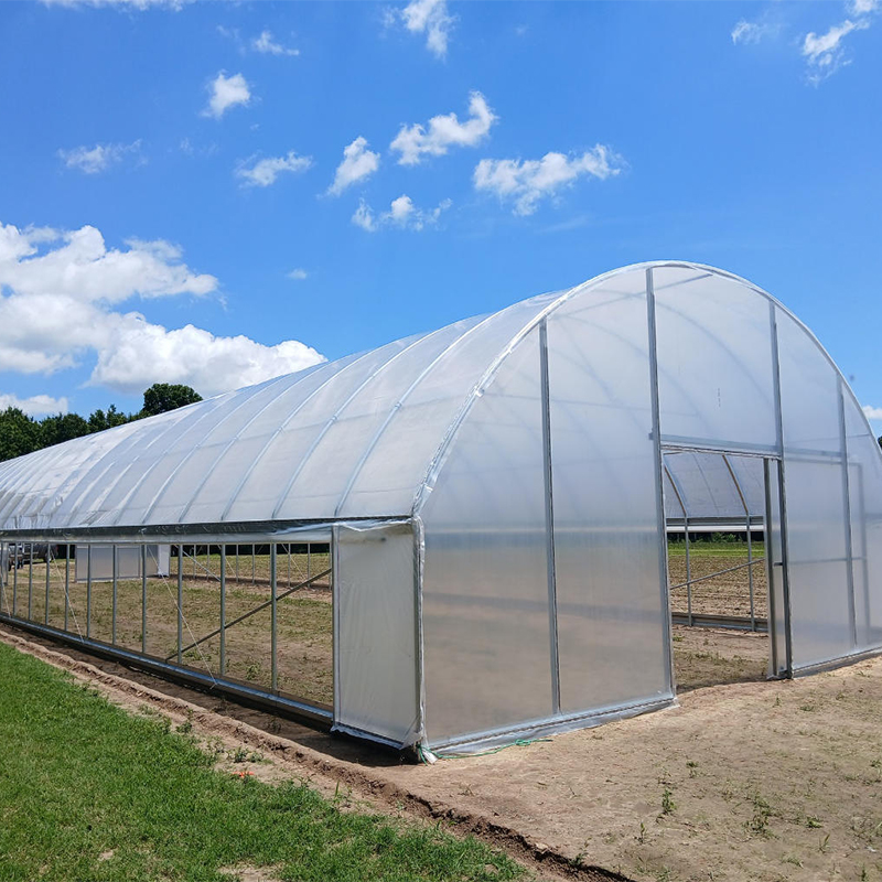 Defend Against the Elements: How Modern Greenhouses Tackle Extreme Weather (Heat, Cold, Wind)