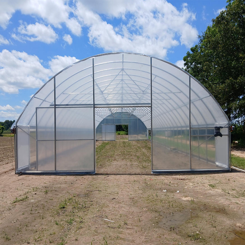 Defend Against the Elements: How Modern Greenhouses Tackle Extreme Weather (Heat, Cold, Wind)