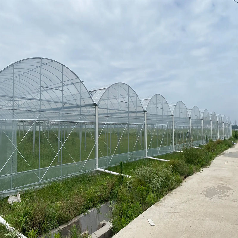 Key Environmental Control Points for Growing High-Value Fruits Key Environmental Control Points for Growing High-Value Fruits