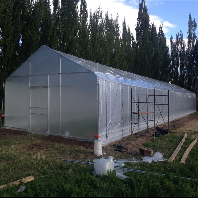 Key Environmental Control Points for Growing High-Value Fruits Key Environmental Control Points for Growing High-Value Fruits