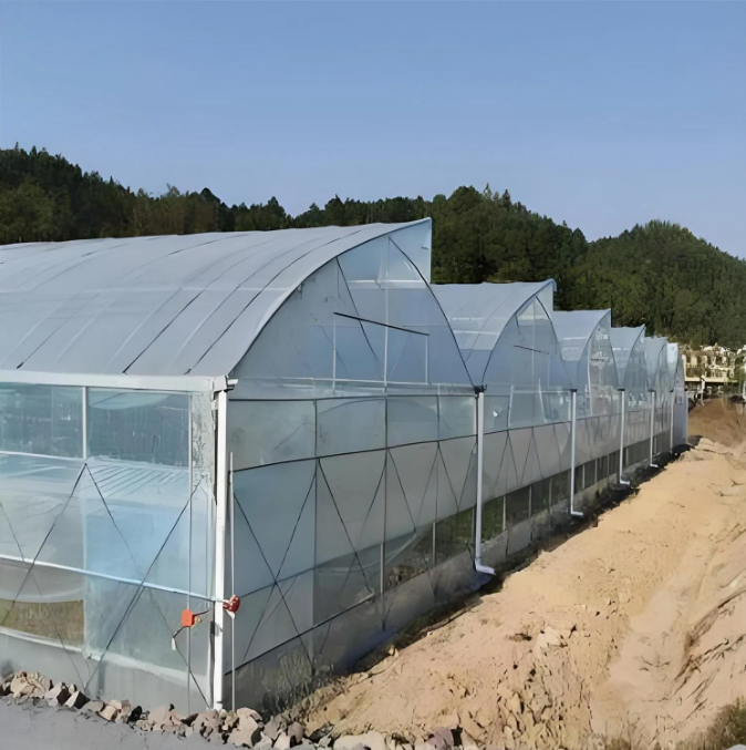 what are the advantage of a swatooth greenhouse?cid=75 what are the advantage of a swatooth greenhouse?cid=75