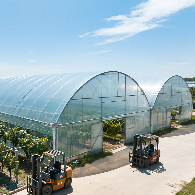 What is the best shape for a greenhouse?cid=75 What is the best shape for a greenhouse?cid=75