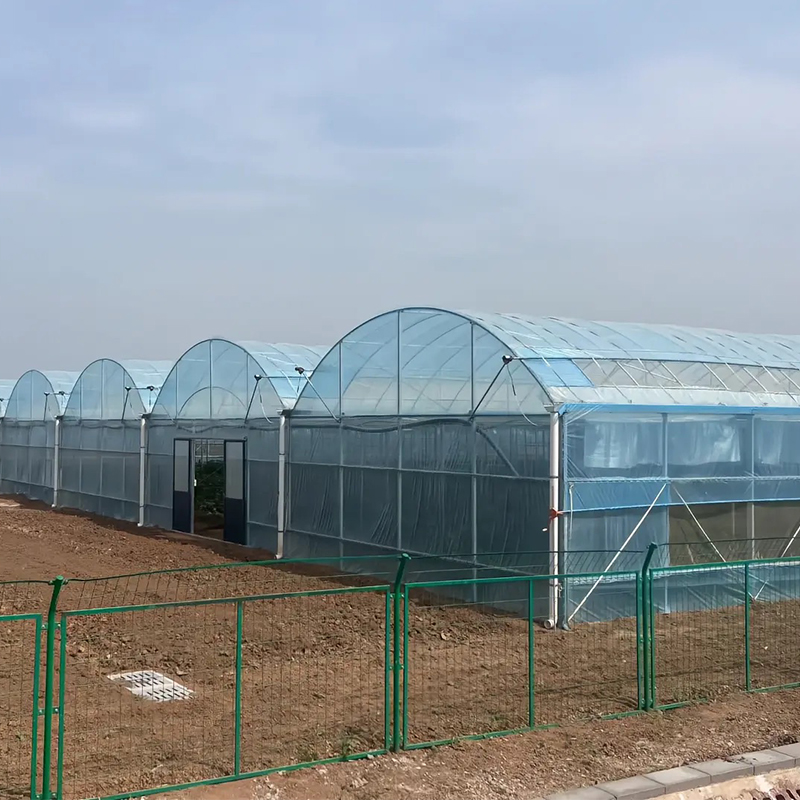 What is the purpose of a sawtooth Greenhouse roof?