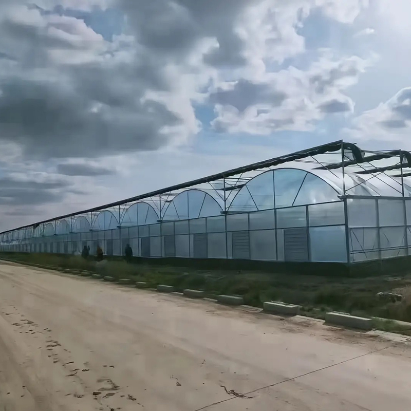 Is it cheaper to buy or build your own greenhouse?cid=75 Is it cheaper to buy or build your own greenhouse?cid=75