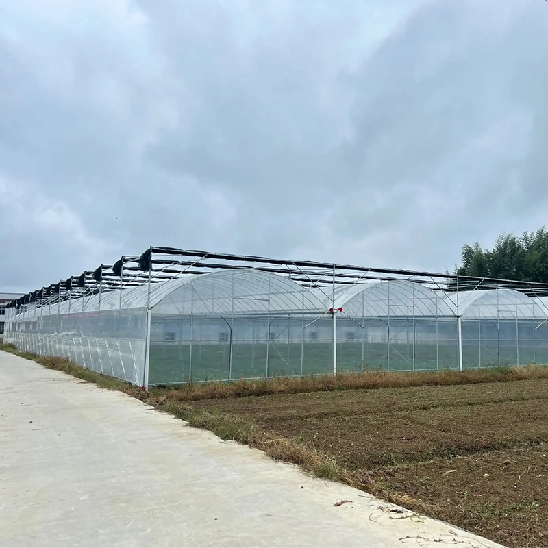 Is it cheaper to buy or build your own greenhouse?cid=75 Is it cheaper to buy or build your own greenhouse?cid=75