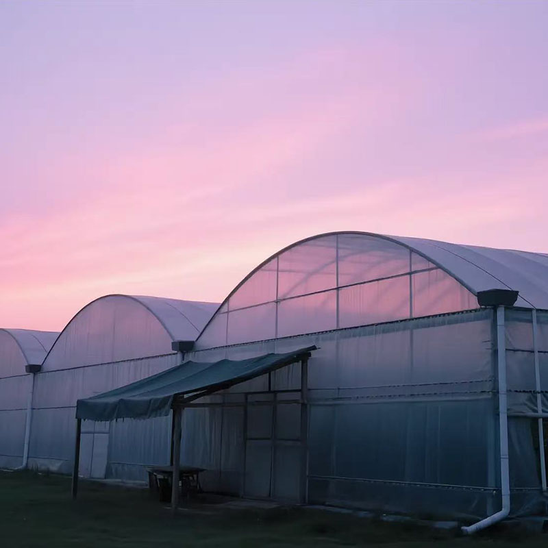 How cold is too cold for a greenhouse?cid=75 How cold is too cold for a greenhouse?cid=75