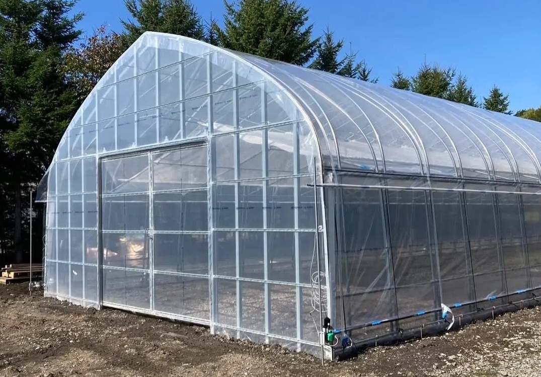 How to Choose the Right Small Greenhouse: Materials, Design, and Cost Guide How to Choose the Right Small Greenhouse: Materials, Design, and Cost Guide