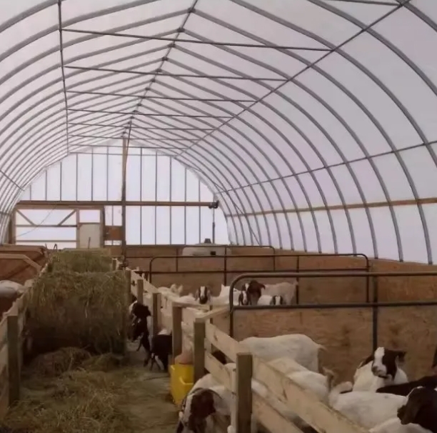 Comprehensive Guide to Livestock Greenhouses Comprehensive Guide to Livestock Greenhouses