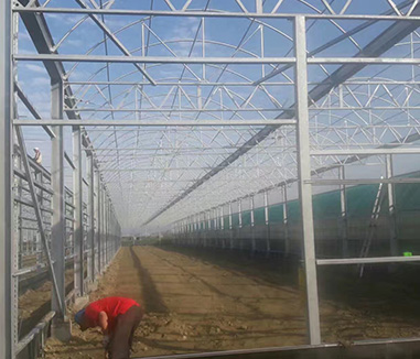 Kunyu Greenhouse Engineering Co., Ltd. a leader in Greenhouse Engineering