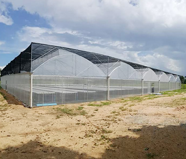 Congratulation! The greenhouse in Qatar which built by Kunyu greenhouse company is completed by May 10th, 2020.