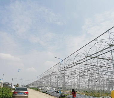 Kunyu team visit the center of orchid greenhouses