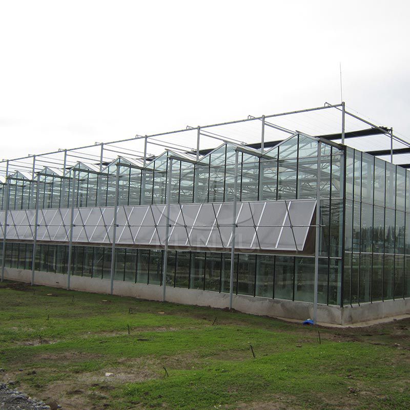 Tempered Glass Greenhouse Clear Cover Material