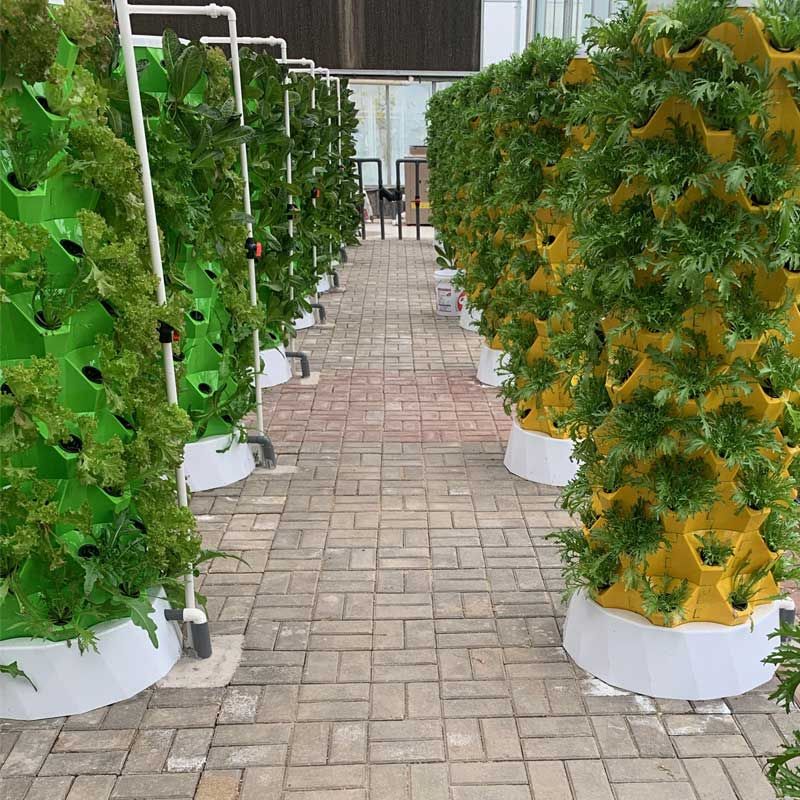 Hydroponic system