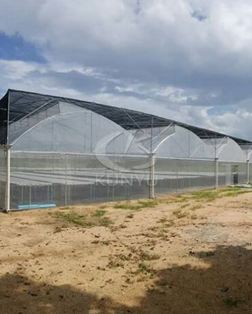 Film Greenhouse in Qatar 2019