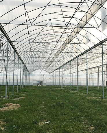 Nursery Greenhouse