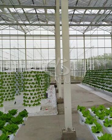 Multi-span Greenhouse in Brunei 2020