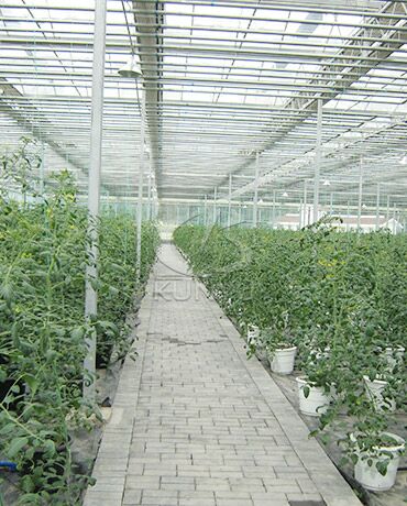 Other Greenhouse