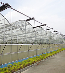 PC Greenhouse