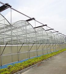 PC Greenhouse