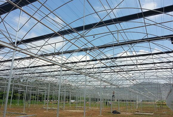 Multi-span Greenhouse