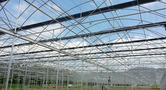 Multi-span Greenhouse