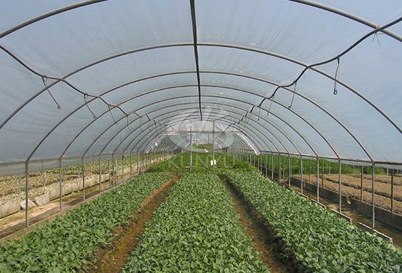 Hoop House