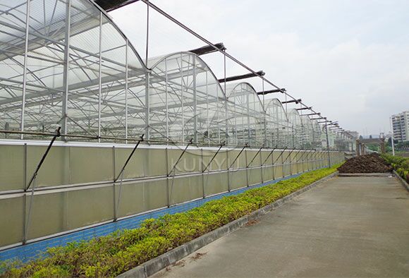 Polycarbonate Greenhouse