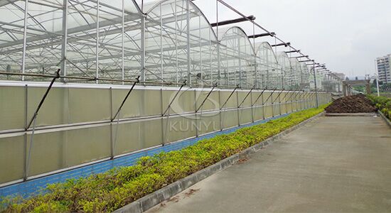 Polycarbonate Greenhouse