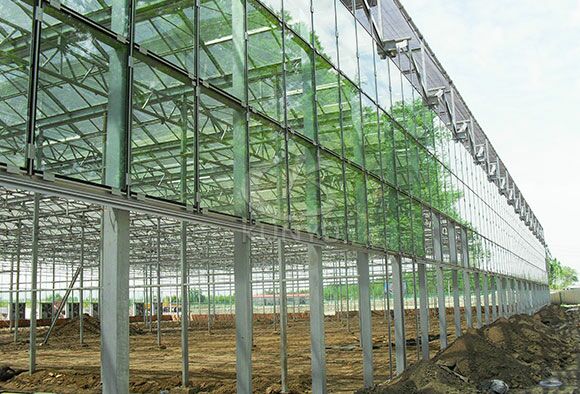 Glass Greenhouse