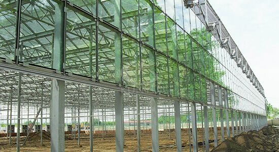 Glass Greenhouse