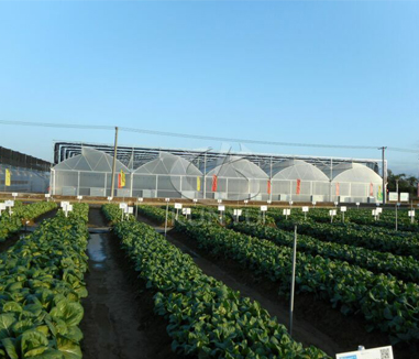 How Can Greenhouse Production Sites be Used for Leisure Agriculture?