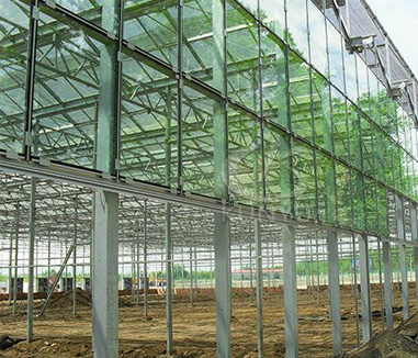 Greenhouse Solutions Contribute to Sustainable Agriculture