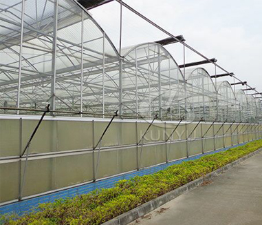 Advantages of a Polycarbonate Greenhouse