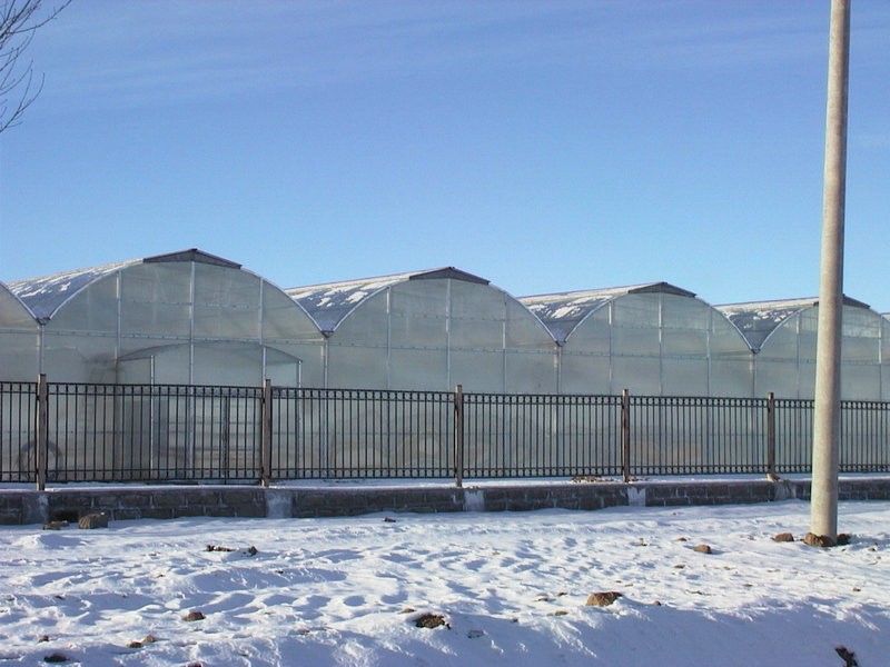 Will greenhouse stay warm in winter?