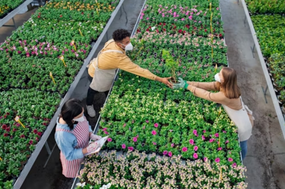 Affordable Greenhouse Solutions for Small Farms: Maximize Yield Without Breaking the Bank