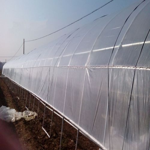 How to Choose a Reliable Wholesale Greenhouse Manufacturer: A Global Buyer’s Guide