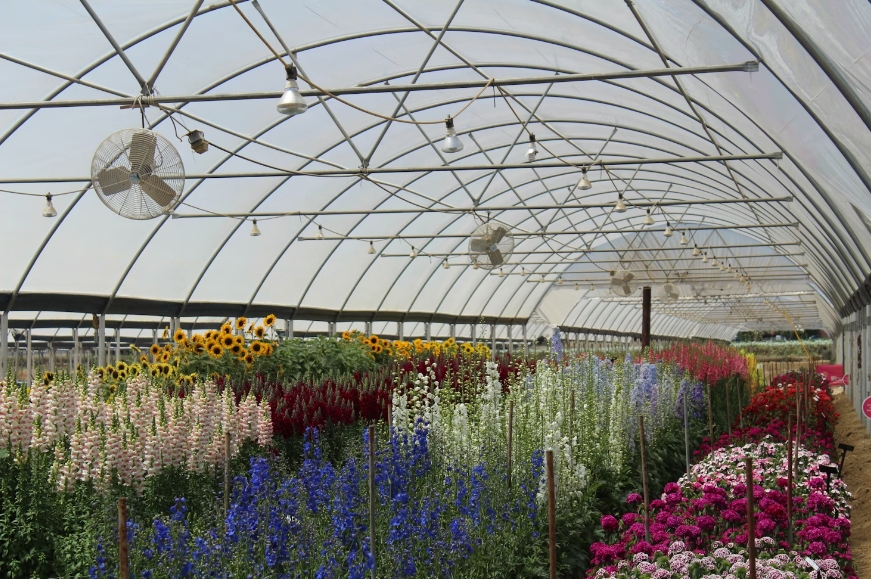 What Is a Nursery Greenhouse and How Can It Boost Seedling Growth?
